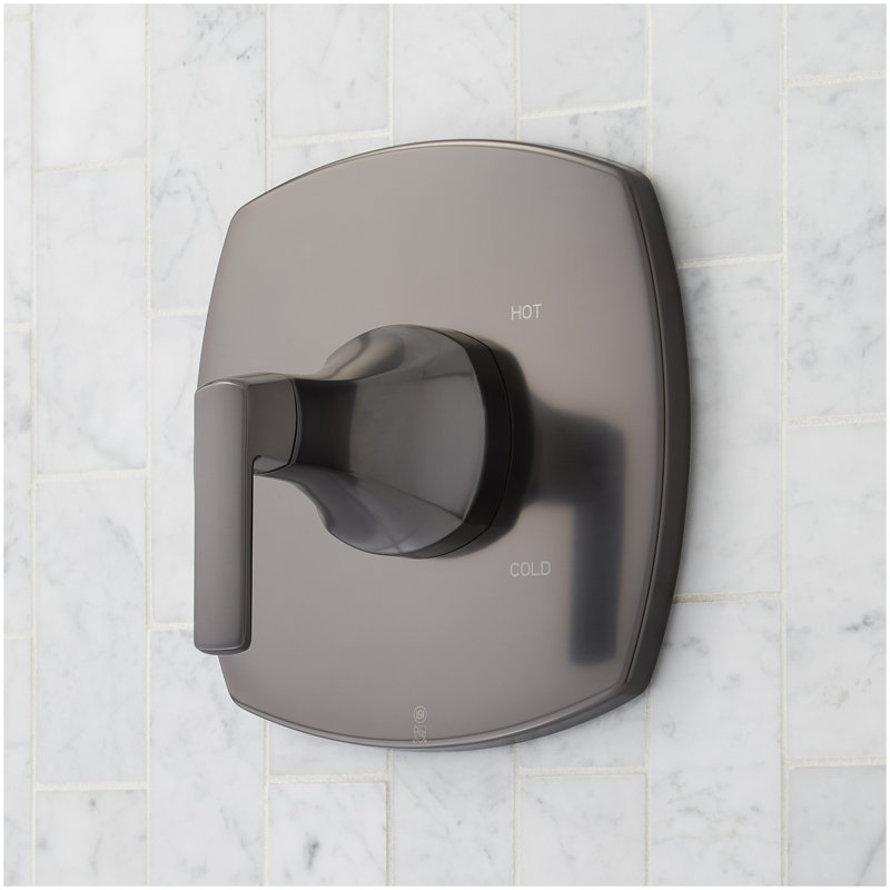 Sefina Pressure Balance Shower Trim and Valve - Gunmetal, Gunmetal