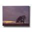 «Field» par PhotoINC Studio-705298968