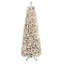 Christmas Tree-397345859