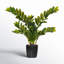 Zen Faux Plant in Pot-1813006944