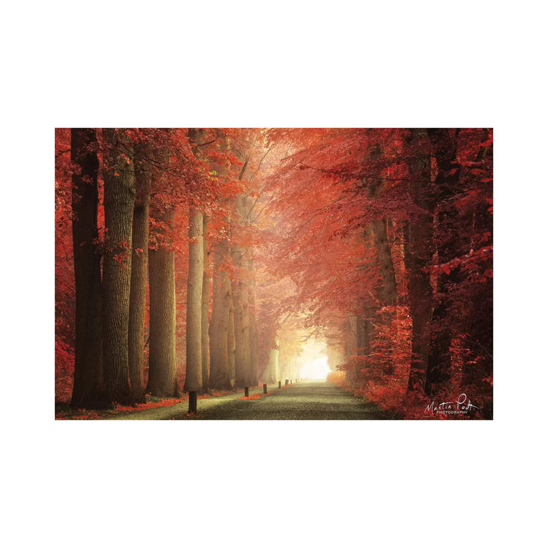 Way To Red by Martin Podt - Wrapped Canvas Gallery-Wrapped Canvas Giclée, 66.04 cm H x 45.72 cm W
