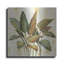 «Fall Greenhouse Leaves» par Silvia Vassileva-1994338837