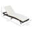 Artemy Outdoor Chaise Lounge , Cushion Included
