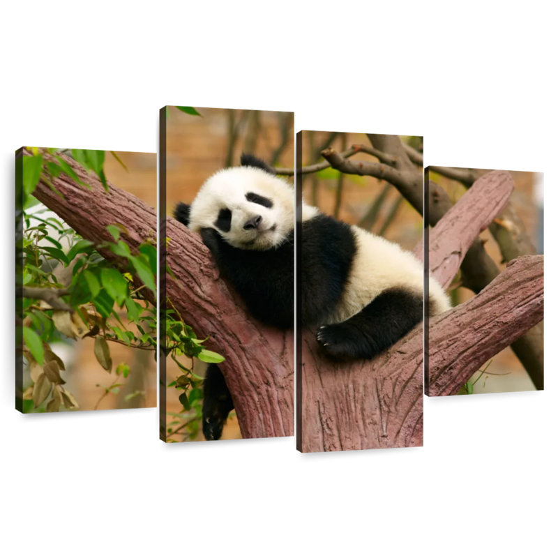 Panda endormi Brampt, H 22 po x l 36 po
