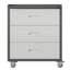 Armoire de rangement en métal robuste avec roulettes - Armoire à outils à 3 tiroirs pour solutions de rangement de garage, de bureau et de maison
