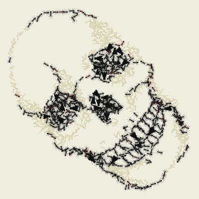 Kimonte Skull - Wrapped Canvas Print