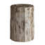 Petrified Solid Wood End Table
