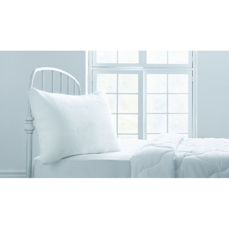 Coussin sans thérapie, Très grand