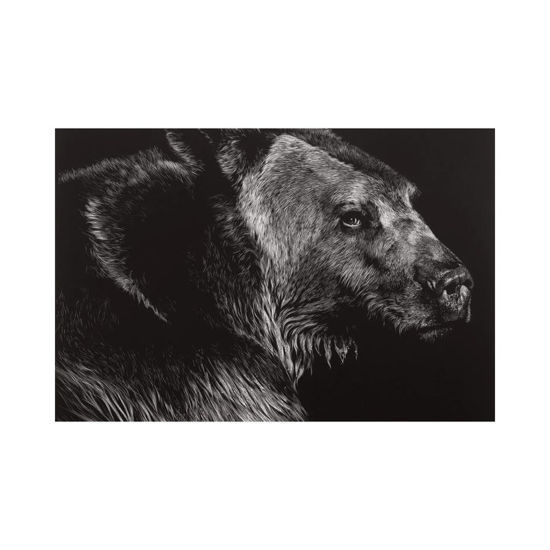 Wild Scratchboard by Julie T. Chapman - Wrapped Canvas Gallery-Wrapped Canvas Giclée, 101.6 cm H x 66.04 cm W