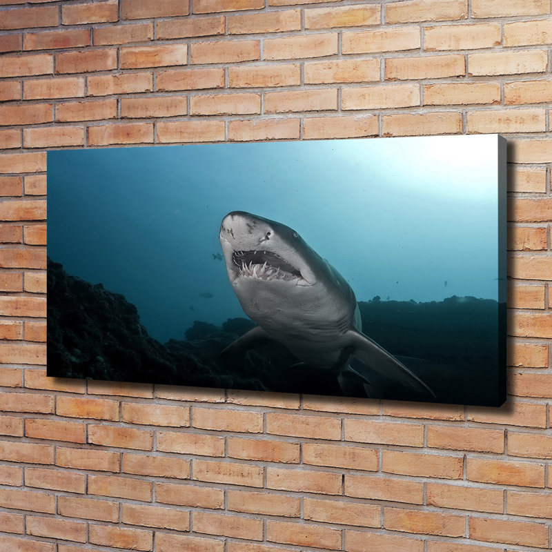 Big Shark - Wrapped Canvas Print