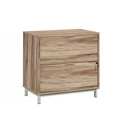 Sleek 2-Drawer Lateral File Cabinet by Latitude Run