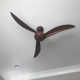 52" Wave 3 - Blade Propeller Ceiling Fan with Remote Control