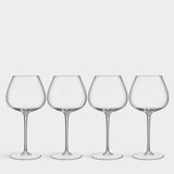 Aroma Copa Gin Balloon Glass