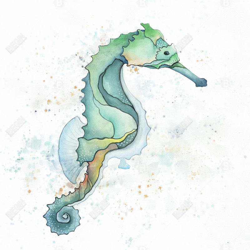 " Sea Horse "