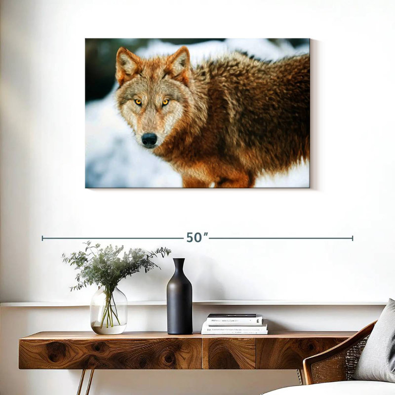 Brampt Brown Wolf, 24" H x 36" W
