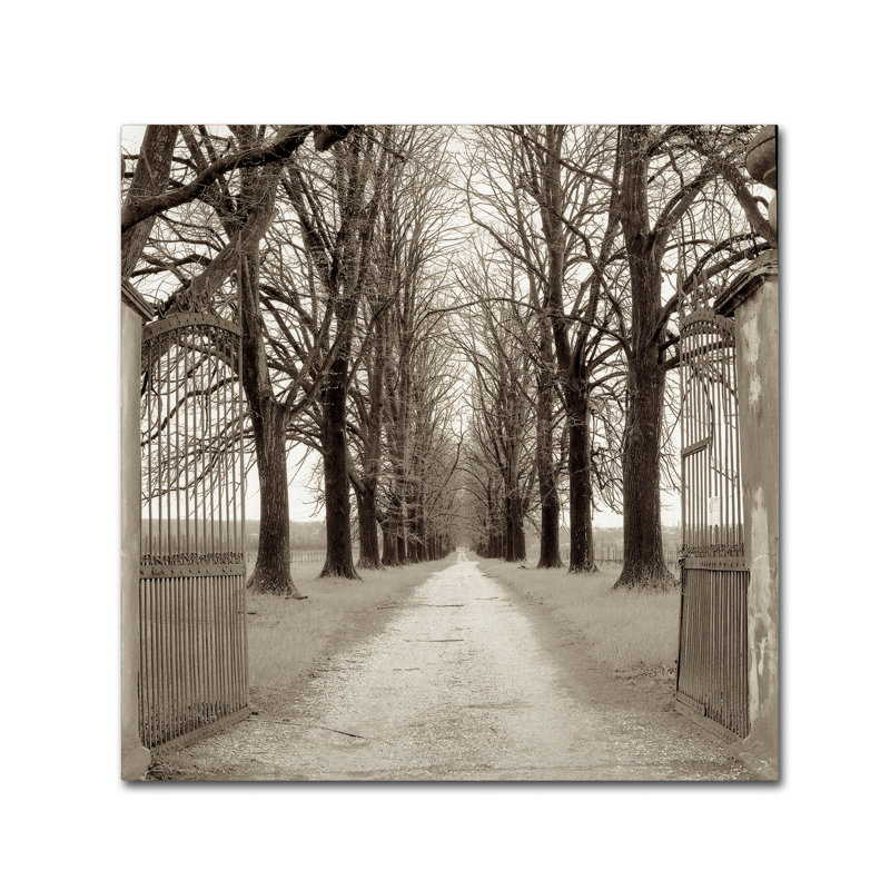 Alan Blaustein «Veneto Giardini I», reproduction de photo sur toile tendue, H 18 po x l 18 po x P 2 po