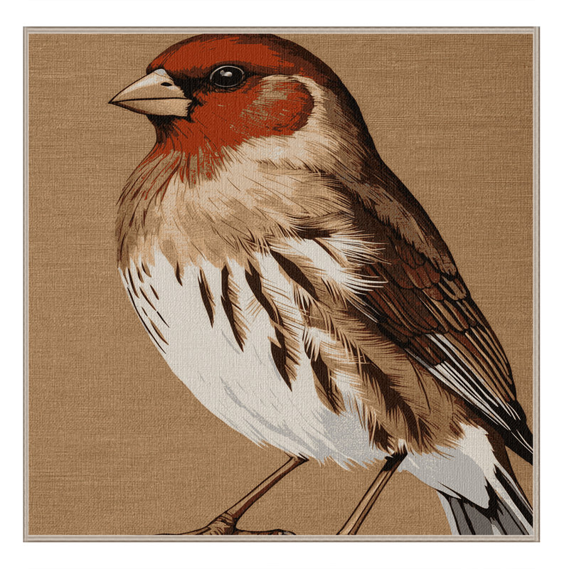 Tapis lavable oiseaux Finch, Carré 4 pi