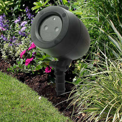 Projection & Strobe Lights