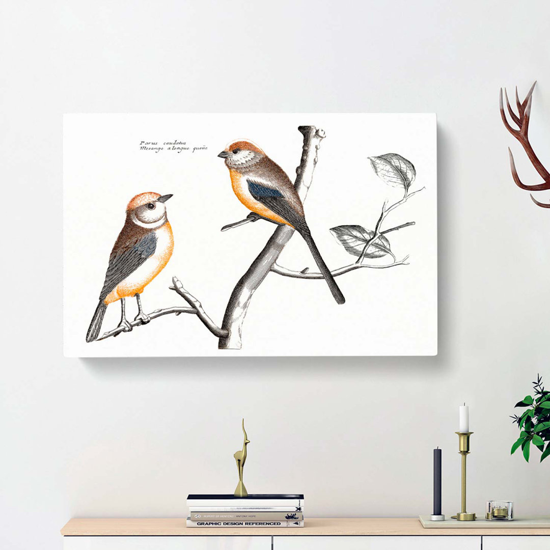Tail Tit Birds by Johan Teyler - Wrapped Canvas