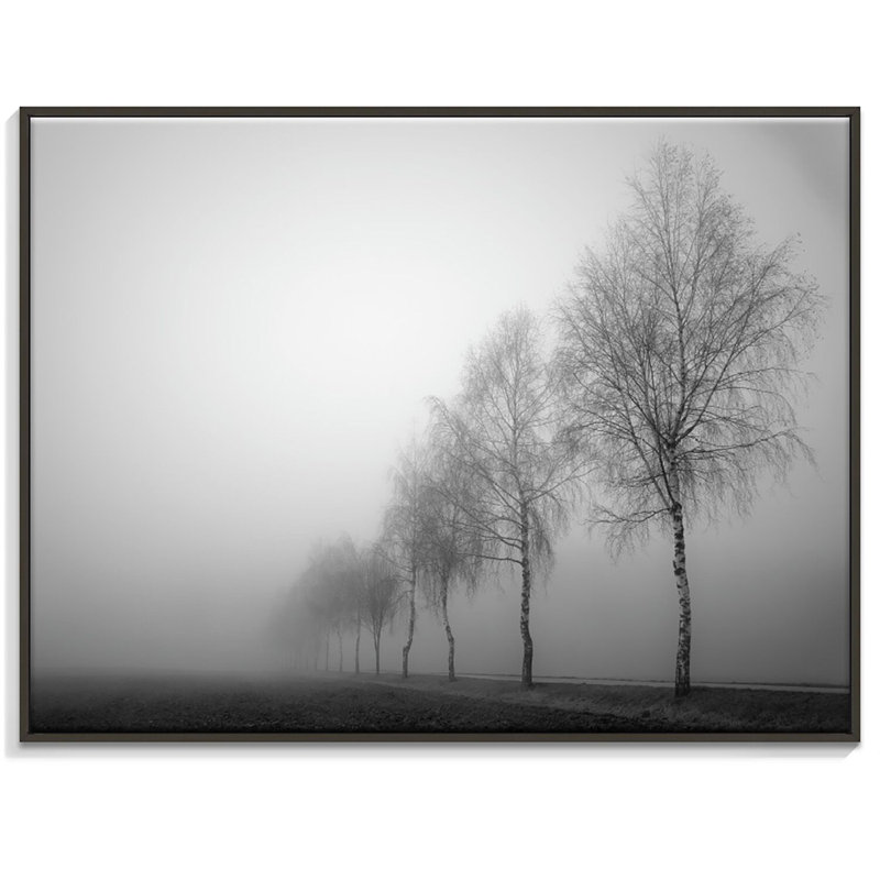 Print on Canvas, 41cm H x 51cm W, Black Floater Frame