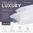 Lincove Canadian Down Feather Travel Pillow - Luxurious Head/Neck Support, 12 X 16" - 2 Pack