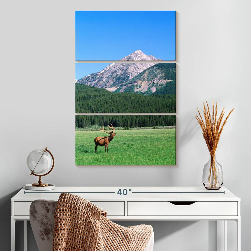 Brampt Coyote Valley Elk, 32" H x 20" W