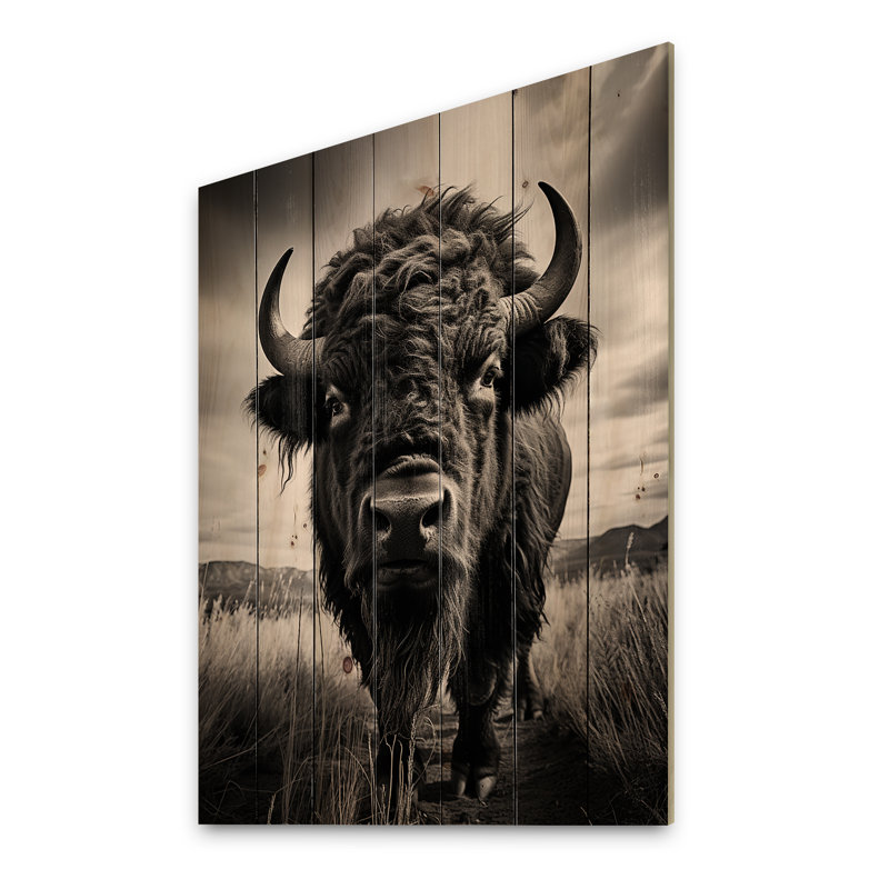 Contes de bison des Prairies sur bois, H 40 po x l 30 po x P 0,78 po