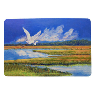Non-Slip Indoor / Outdoor Doormat