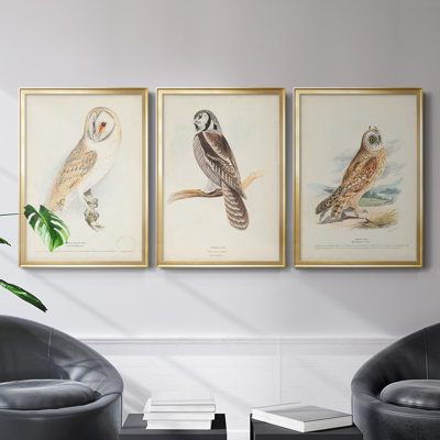 Toile encadrée de qualité supérieure Barn Owl - prête à être accrochée