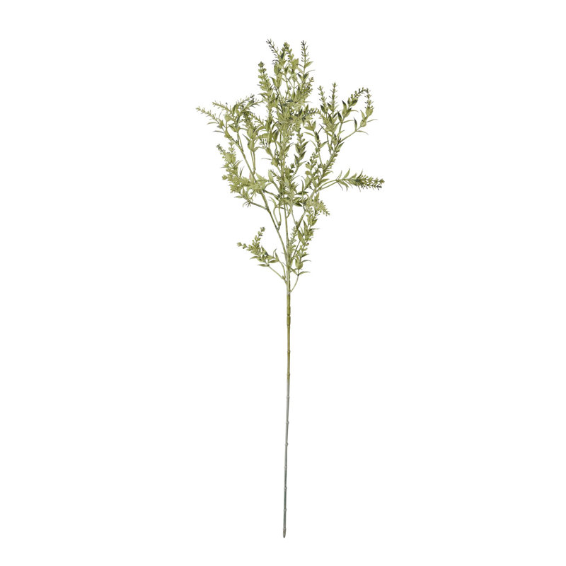Anastasija Arrangement