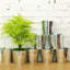 Ostrom Wood Pot Planter
