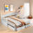 Elegant Extendable Daybed With Two Storage Drawers And Twin Size Trundle-1872653735