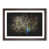 Walnut Framed