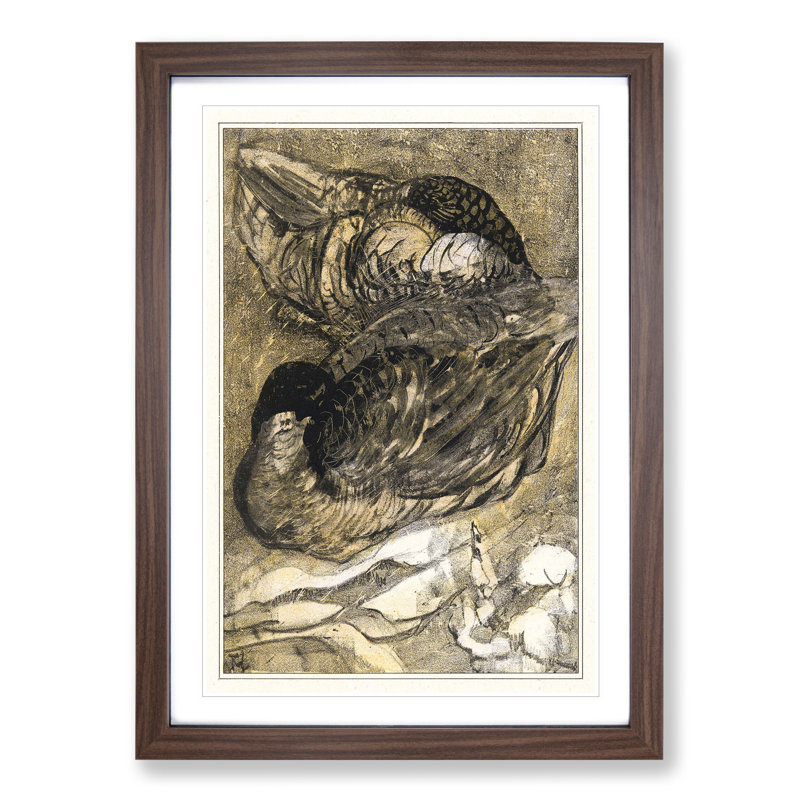 Two Sleeping Ducks by Theo Van Hoytema - Framed Print, 36cm H x 27cm W x 2cm D, Walnut Framed
