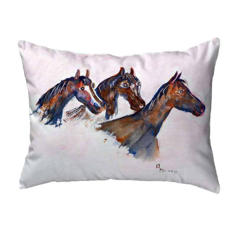  Housse et insert de coussin d'extérieur pour l'extérieur, 16 po x 20 po