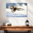 Brampt Norwegian Golden Eagle-107855283