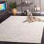 Allycia Machine Woven Ivory/Grey Rug-779295480