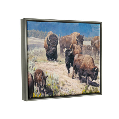 «Union Rustic Commander In Chief Bison Herd», art mural encadré par David Graham
