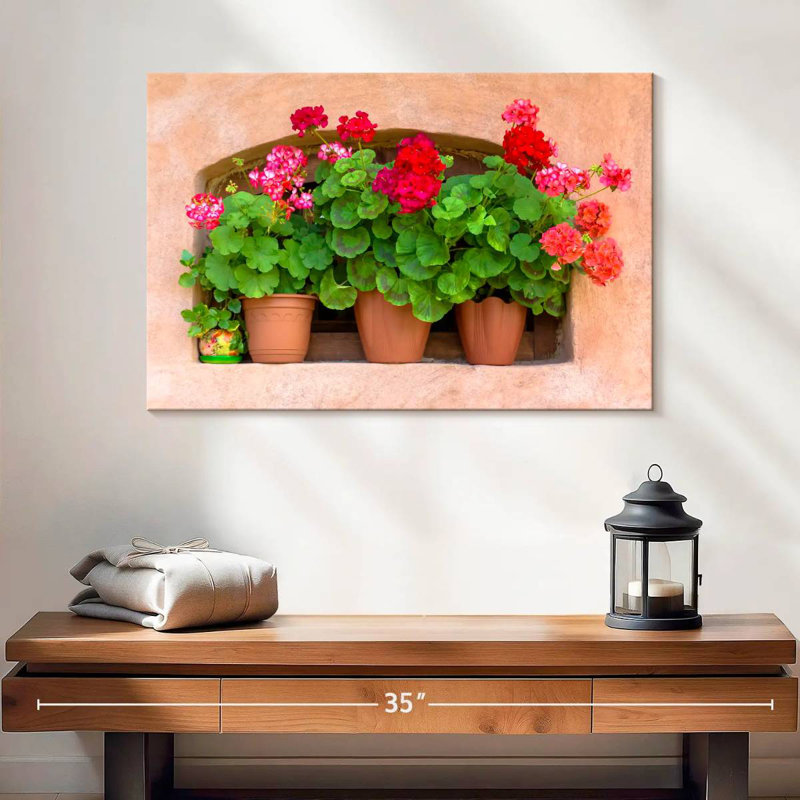 Geraniums en pot Harnek, H 16 po x l 24 po