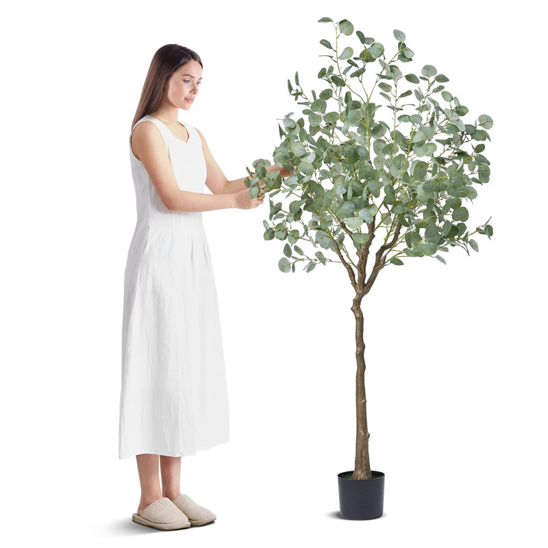 Faux eucalyptus 71,26 po