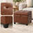 17.5" Square Tufted Faux Leather Storage Ottoman for Living Room-912883164