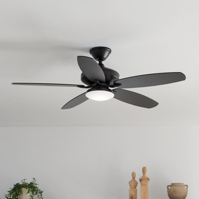 52'' Ceiling Fan with LED Lights