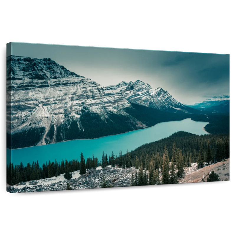 Alvord Peyto Lake, H 20 po x l 30 po