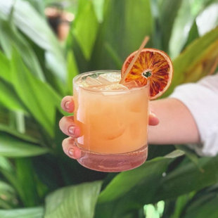 Cocktail de blé buvant des pailles (Ensemble de 500)