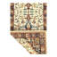 Southwestern Area Rug in Ivory