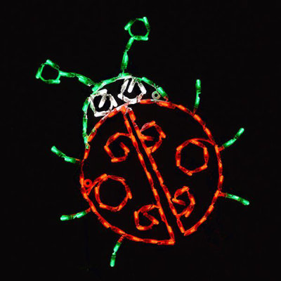 Lady Bug LED Display