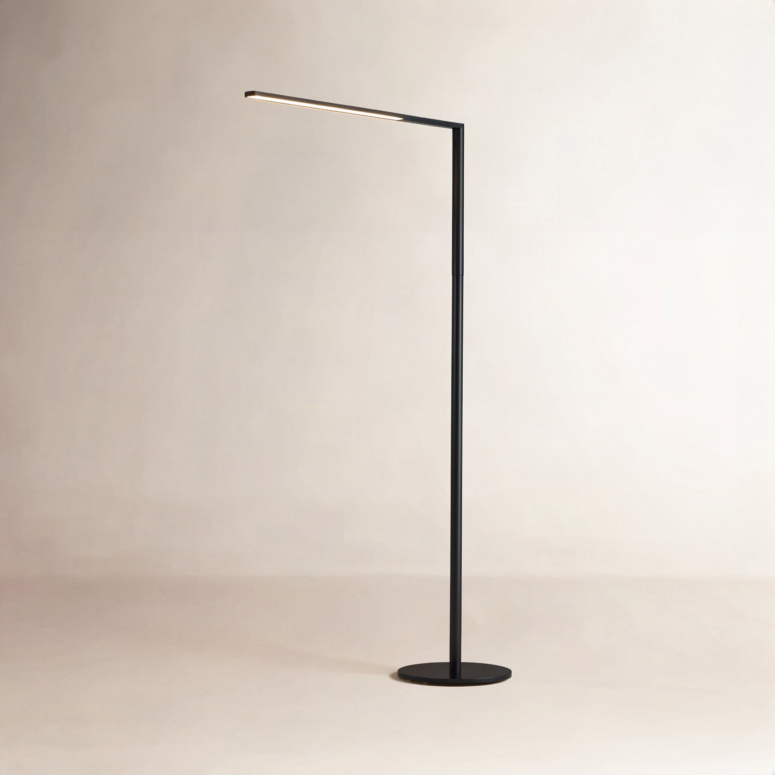 Lady7 52.05'' Dimmable LED Floor Lamp, Metallic Black