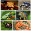 Terrarium acrylique transparent pour reptiles, avec couvercle coulissant, idéal pour gecko léopard, mygale et grenouille.