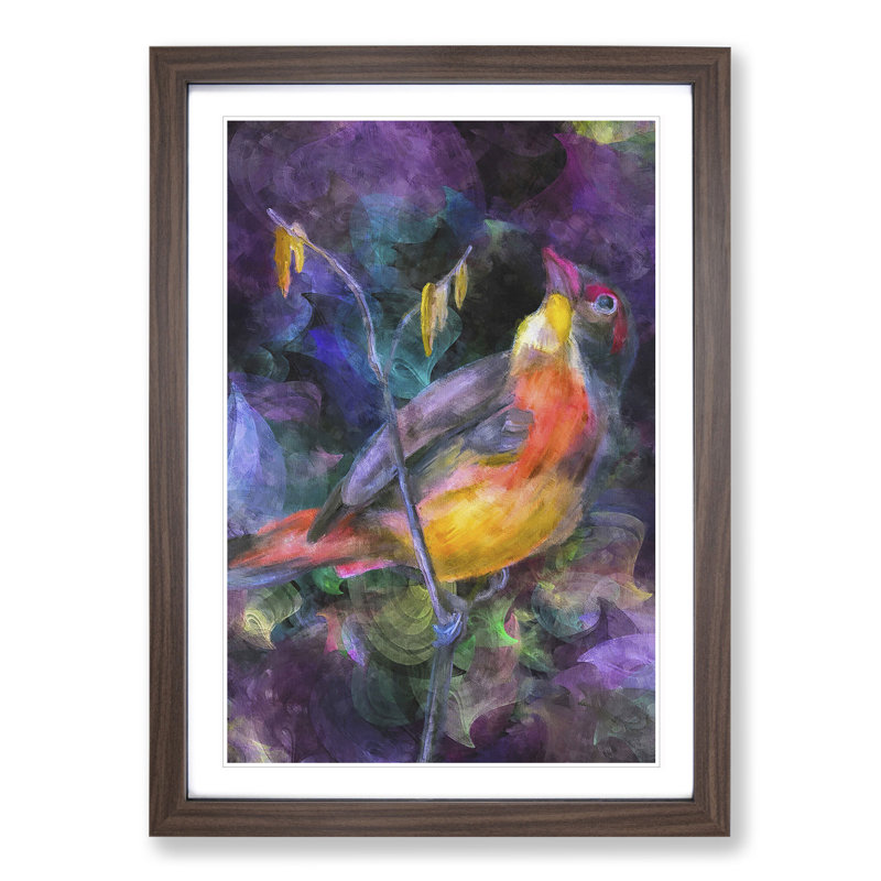 Colourful Bird - Picture Frame Graphic Art, 65cm H x 48cm W x 2cm D, Walnut Framed