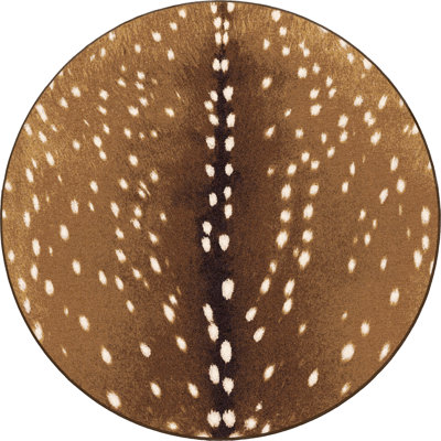 Tapis Gienn Gavyn